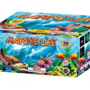 Marine Life